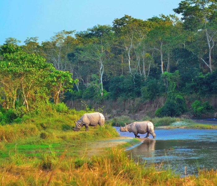 NEPAL - Parque Chitwan
