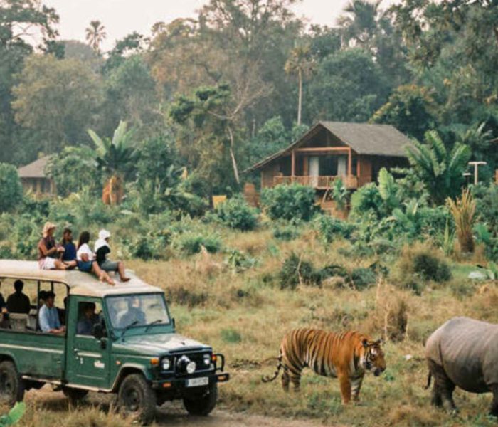 NEPAL - Zafari Chitwan